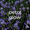 petal_glow